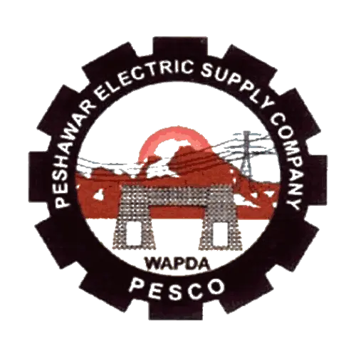Peshawar Electric Supply Company Bill